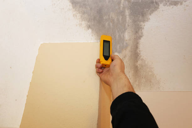 Best Biohazard Mold Removal  in Mokuleia, HI