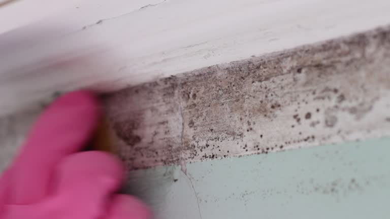 Best Residential Mold Inspection & Testing  in Mokuleia, HI